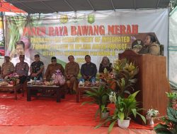 Panen Raya Bawang Merah di Brang Kolong Bukti Berhasil Program Upland Distan Sumbawa