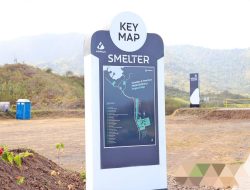 Satgas Khusus Menaker Diminta Tangani TKA Tiongkok Ilegal di Proyek Smelter