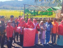 Peduli Sesama, Hj Hanifa Salurkan Bantuan Korban Kebakaran