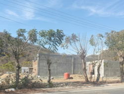 Pembangunan Cafe Baru di Jalan Raya Balad Ditolak, Desak Penertiban Lintas Instansi